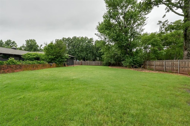 300 E Federal St, Shawnee, OK 74804 - view of yard