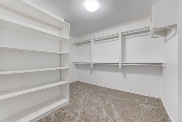 1918 Winding Ridge Rd, Edmond, OK 73034 - walk in closet with carpet flooring