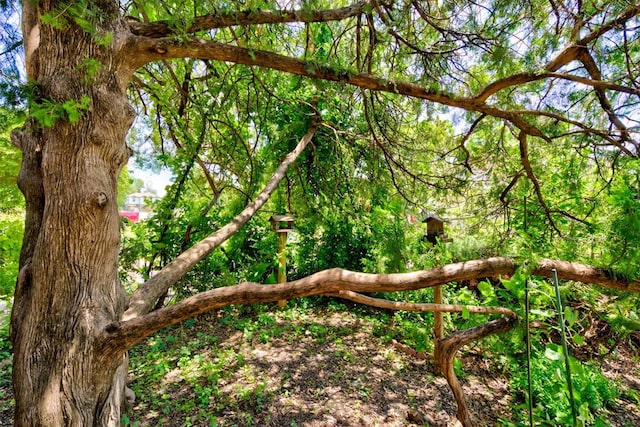 2721 NW 45th St, Oklahoma City, OK 73112 - view of local wilderness