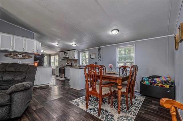 13903 Pleasant Ridge Rd, Jones, OK 73049 - dining space featuring dark wood-style flooring, a textured ceiling, and lofted ceiling