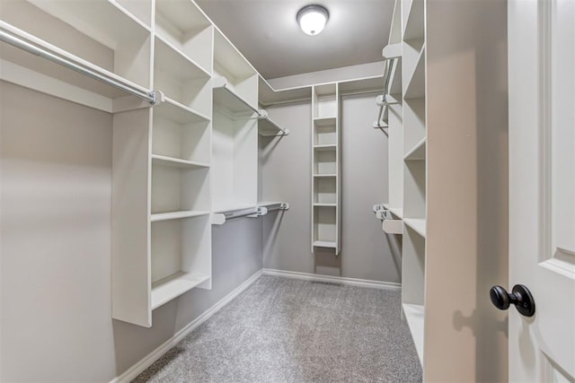 7720 Hawk Ln, Guthrie, OK 73044 - spacious closet with carpet floors