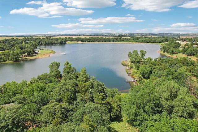 21306 E 10th St, Hinton, OK 73047 - bird's eye view of a large body of water and a heavily wooded area