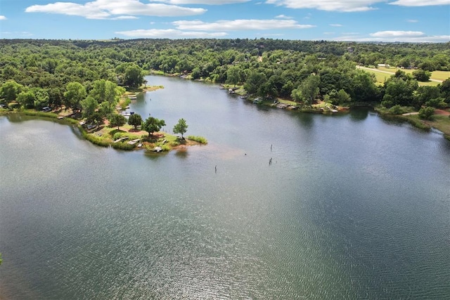 21306 E 10th St, Hinton, OK 73047 - aerial view of a forest and a nearby body of water