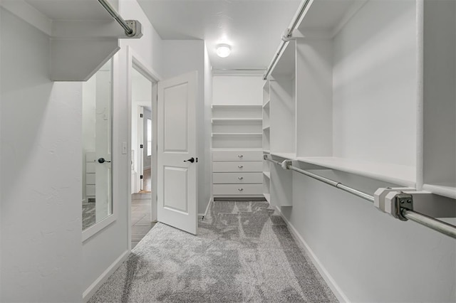 1108 Samantha Ln, Oklahoma City, OK 73160 - walk in closet with carpet flooring