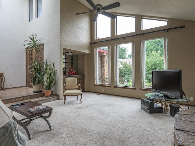 13501 Fox Hollow Rdg, Oklahoma City, OK 73131 - living area with carpet, lofted ceiling, a ceiling fan, and a textured wall