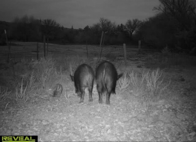 000 000, Cheyenne, OK 73628