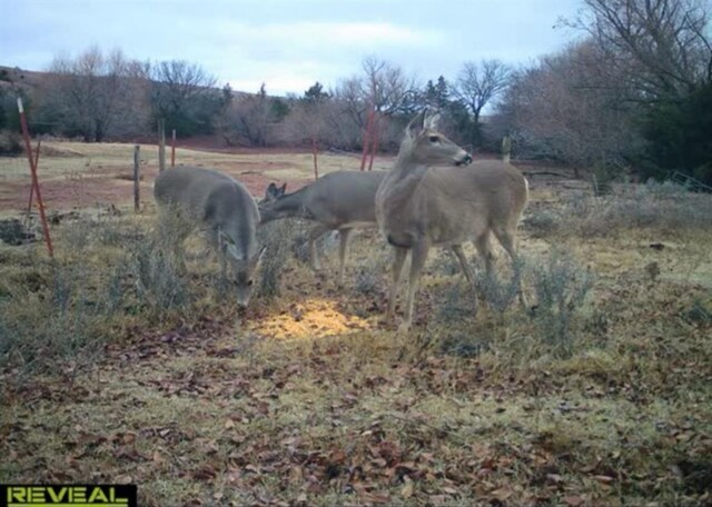 000 000, Cheyenne, OK 73628