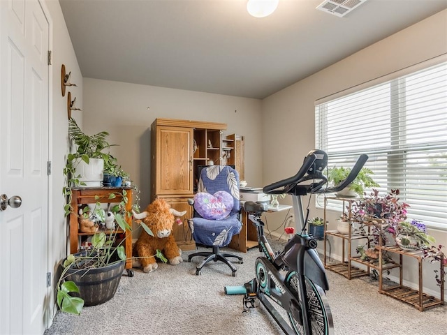 9436 SW 37th St, Oklahoma City, OK 73179 - workout area featuring carpet flooring