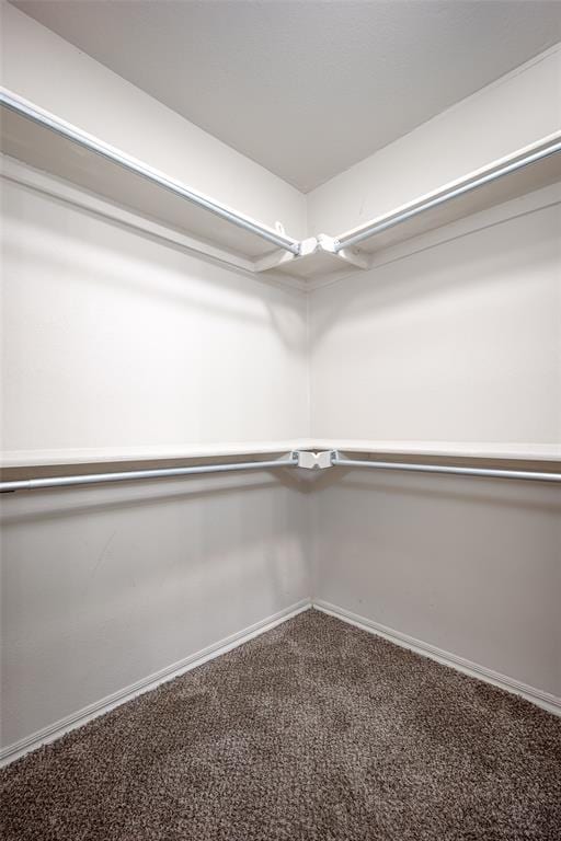 1704 Sumac Dr, Norman, OK 73071 - spacious closet featuring carpet flooring