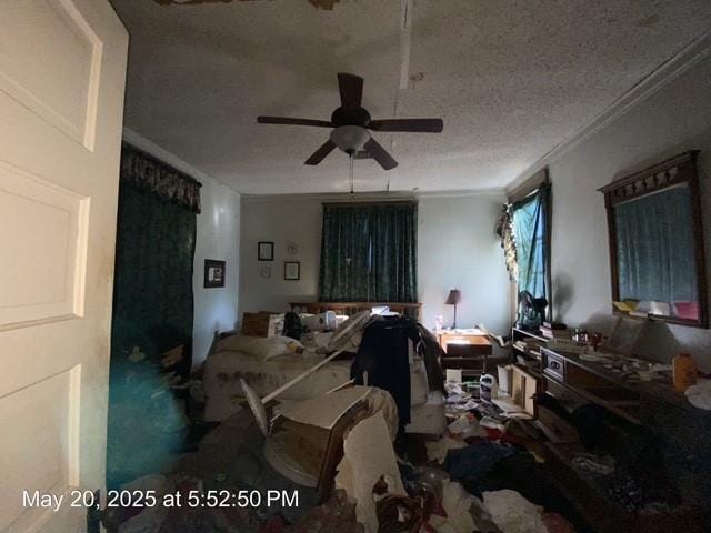 820 NW E St, Ardmore, OK 73401 - living area with ceiling fan, ornamental molding, a textured ceiling, and carpet floors