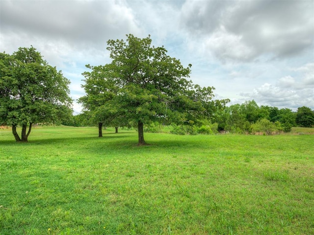 4100 S Noma Rd, Oklahoma City, OK 73150 - view of green lawn