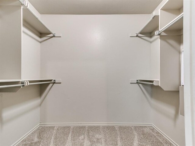 8344 NW 137th St, Oklahoma City, OK 73142 - walk in closet featuring carpet