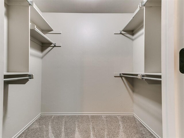 8344 NW 137th St, Oklahoma City, OK 73142 - spacious closet featuring carpet floors