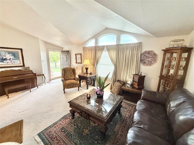 305 N Greer Ave, Duke, OK 73532 - living area with lofted ceiling, carpet floors, and a textured ceiling