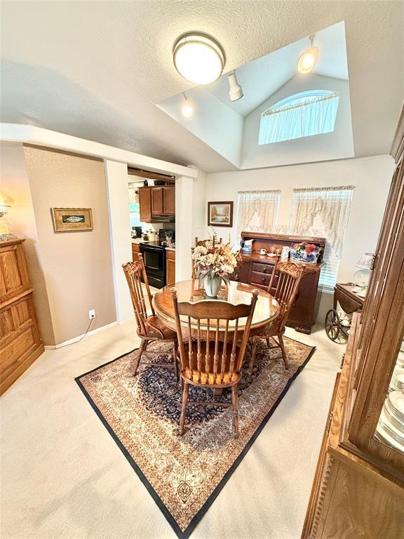 305 N Greer Ave, Duke, OK 73532 - dining space featuring light carpet, a textured ceiling, lofted ceiling, and rail lighting