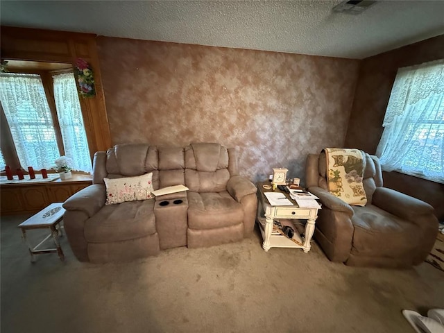 carpeted living room with a textured wall and a textured ceiling