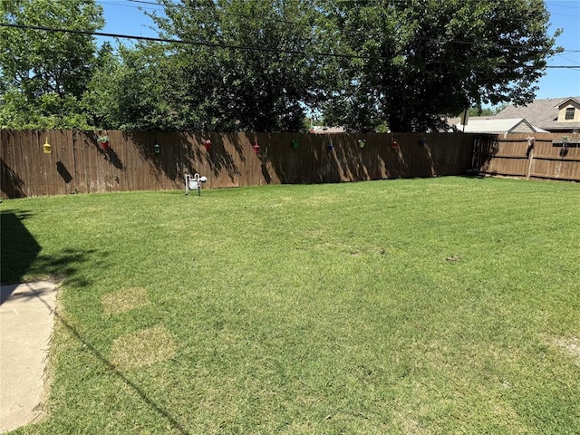 view of yard