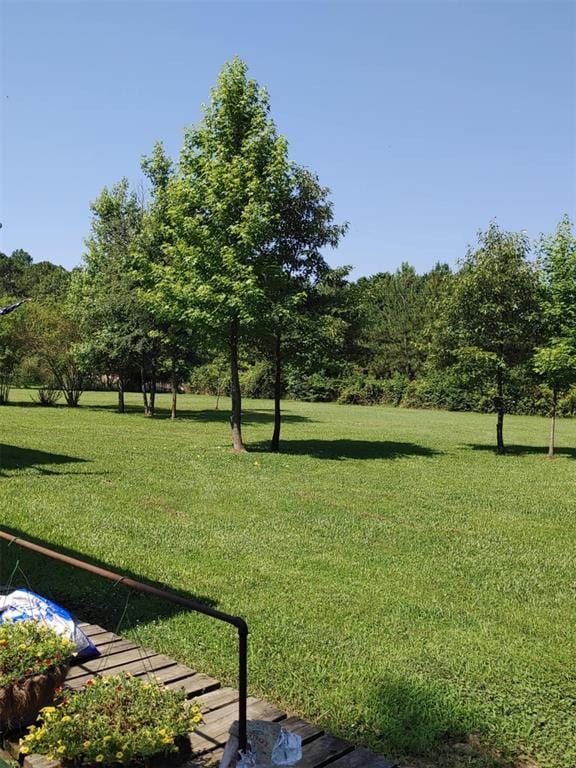 300 Bayberry Rd, Broken Bow, OK 74728 - view of green lawn