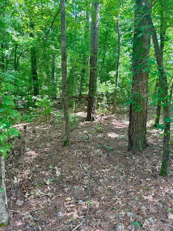125 Pawpaw Trl, Broken Bow, OK 74728