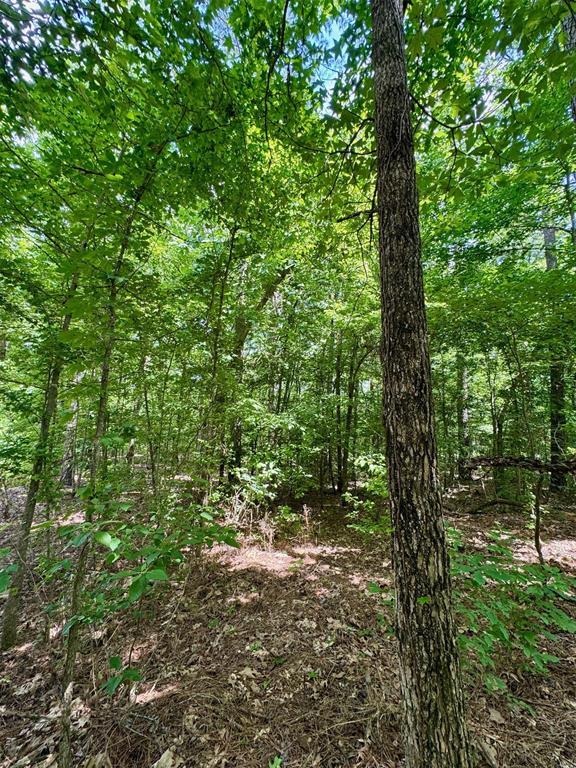 125 Pawpaw Trl, Broken Bow, OK 74728