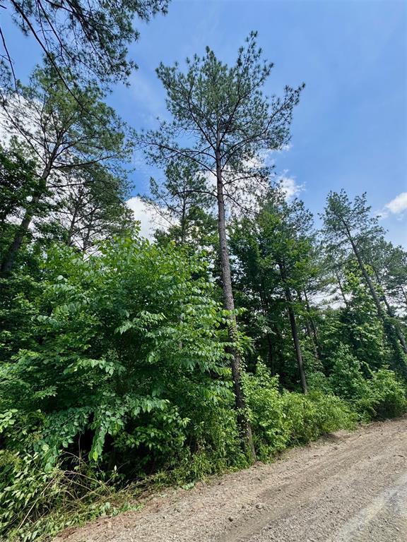 125 Pawpaw Trl, Broken Bow, OK 74728