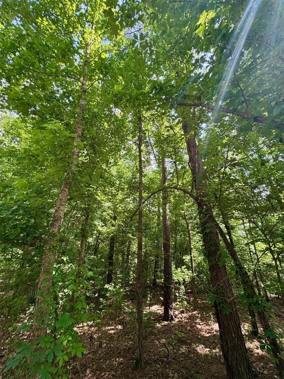125 Pawpaw Trl, Broken Bow, OK 74728