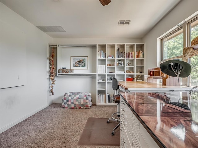 19401 N Peebly Rd, Luther, OK 73054 - carpeted office space with baseboards