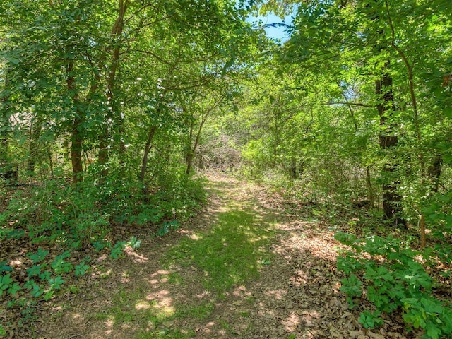 19401 N Peebly Rd, Luther, OK 73054 - view of tree filled area