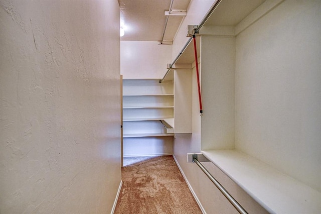 5524 SE 57th St, Oklahoma City, OK 73135 - walk in closet featuring carpet floors