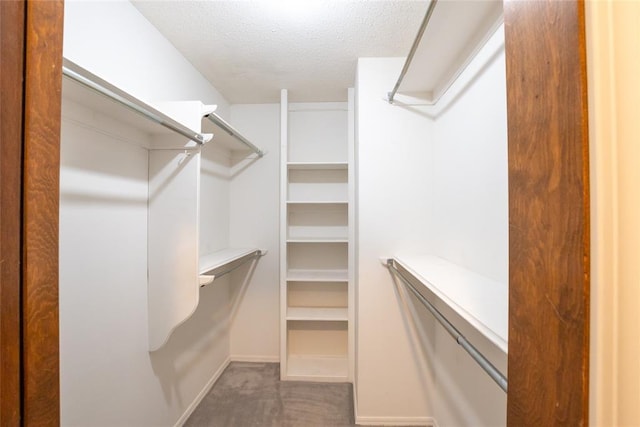 5821 NW 89th St, Oklahoma City, OK 73132 - walk in closet with carpet floors