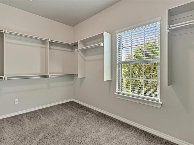10740 Starboard Way, Edmond, OK 73025 - walk in closet featuring carpet