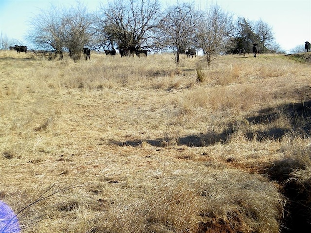 N Logan Rd, Orlando, OK 73073 - photo 44