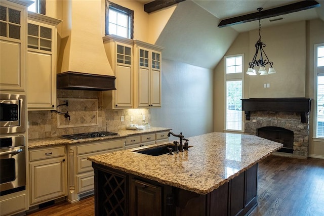 3176 E 146th Pl, Bixby, OK 74008 - kitchen with appliances with stainless steel finishes, a sink, custom exhaust hood, dark wood-style floors, and healthy amount of natural light