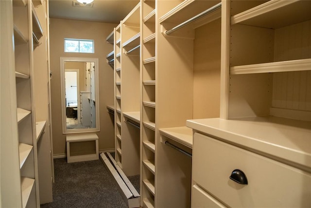 3176 E 146th Pl, Bixby, OK 74008 - spacious closet featuring dark colored carpet