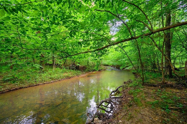 47 White Pine Rd, Broken Bow, OK 74728 - water view