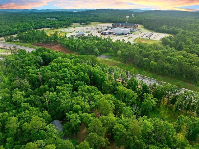 47 White Pine Rd, Broken Bow, OK 74728 - drone / aerial view of a heavily wooded area
