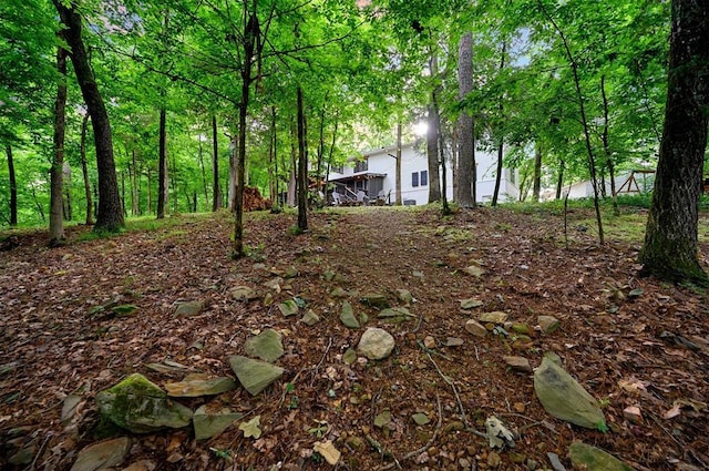 47 White Pine Rd, Broken Bow, OK 74728 - view of yard