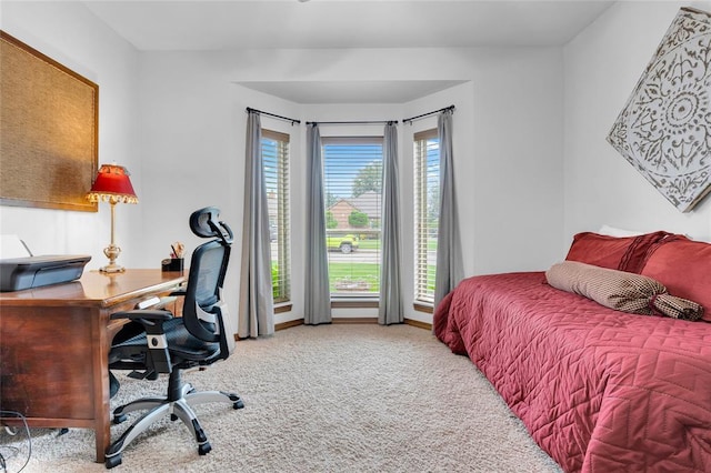 1116 River Birch Dr, Yukon, OK 73099 - carpeted bedroom with a desk