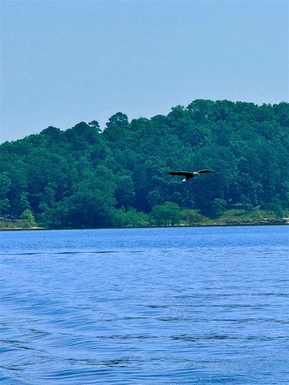 26 Mangrove Rd, Broken Bow, OK 74728