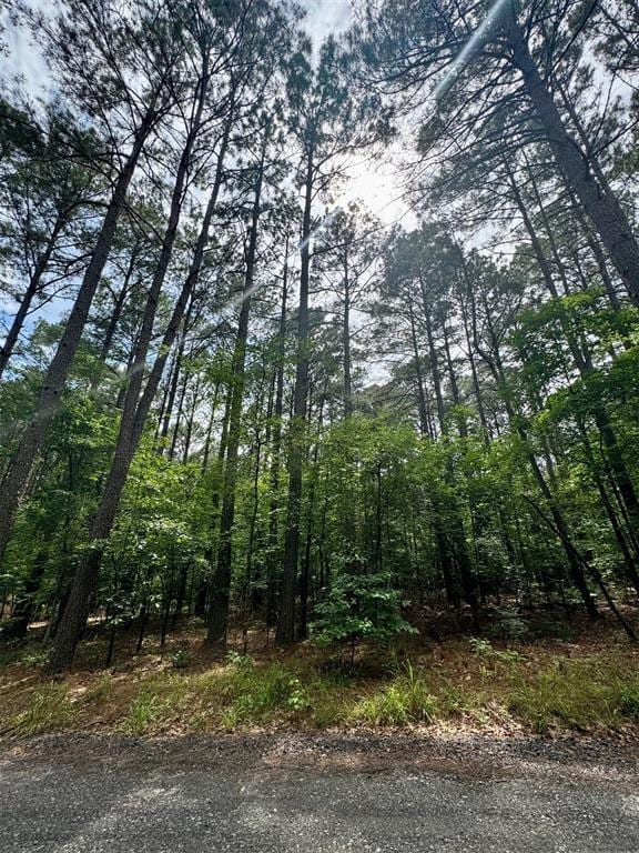 26 Mangrove Rd, Broken Bow, OK 74728