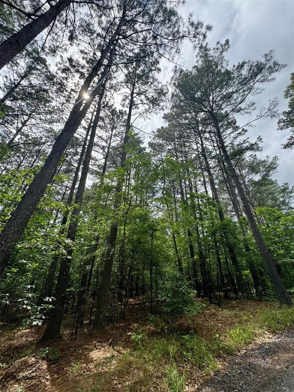 26 Mangrove Rd, Broken Bow, OK 74728