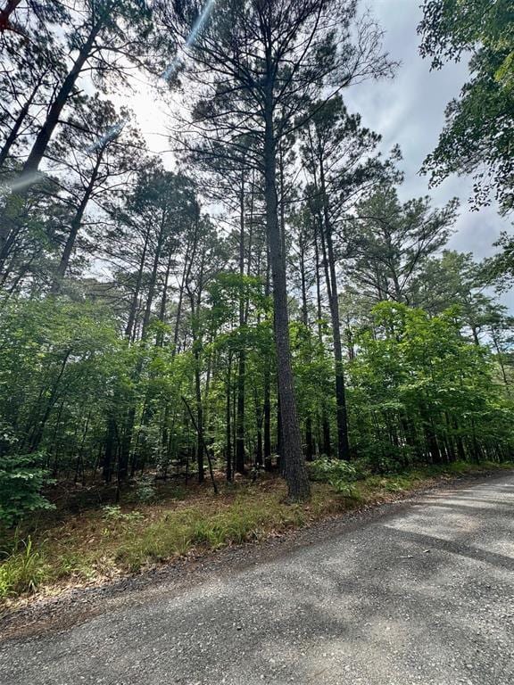 26 Mangrove Rd, Broken Bow, OK 74728