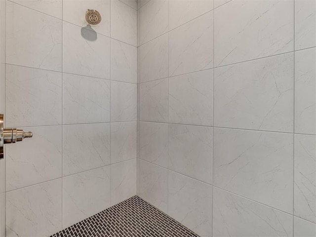 6860 Lake View Ct, Cashion, OK 73016 - bathroom view of a tile shower
