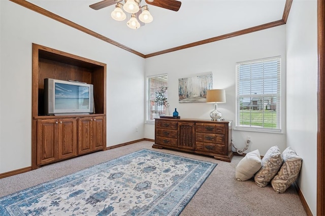 607 Pool Pl, Shawnee, OK 74801 - living area featuring carpet flooring, plenty of natural light, ceiling fan, and ornamental molding