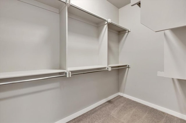 1330 Round Leaf Rd, Edmond, OK 73034 - walk in closet featuring carpet floors