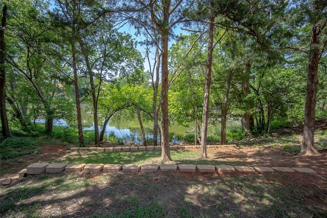 13229 Cedar Springs Rd, Oklahoma City, OK 73120 - photo 2