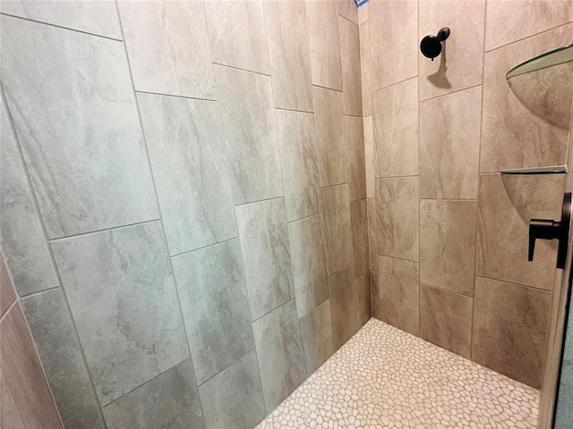 913 SW 141st St, Oklahoma City, OK 73170 - bathroom view of a tile shower