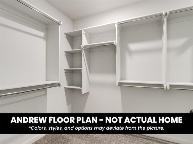 8600 NW 75th St, Oklahoma City, OK 73132 - view of walk in closet