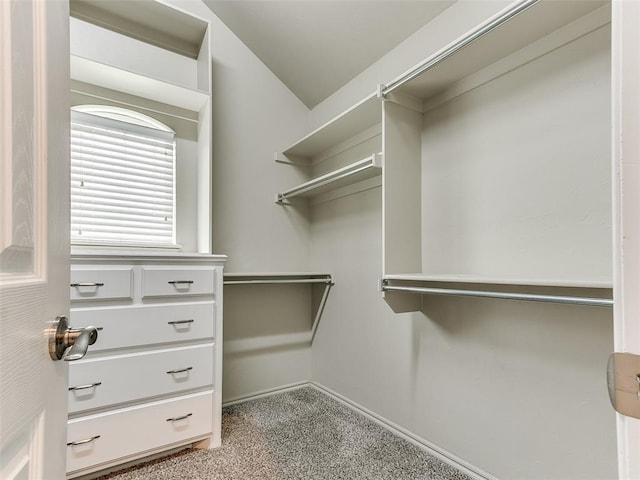 113 Stone Creek Dr, Midwest City, OK 73130 - spacious closet with carpet floors