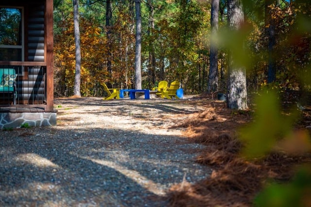 59 Sweet Elm, Broken Bow, OK 74728 - view of yard